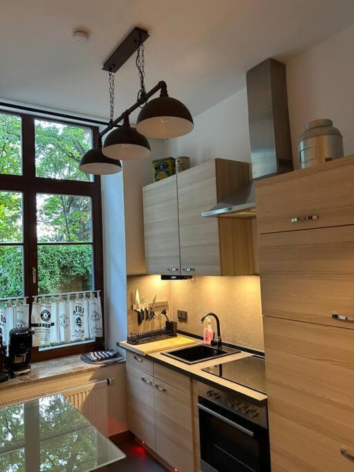 Ruhige Wohnung Im Fabrikstil In 开姆尼茨 外观 照片