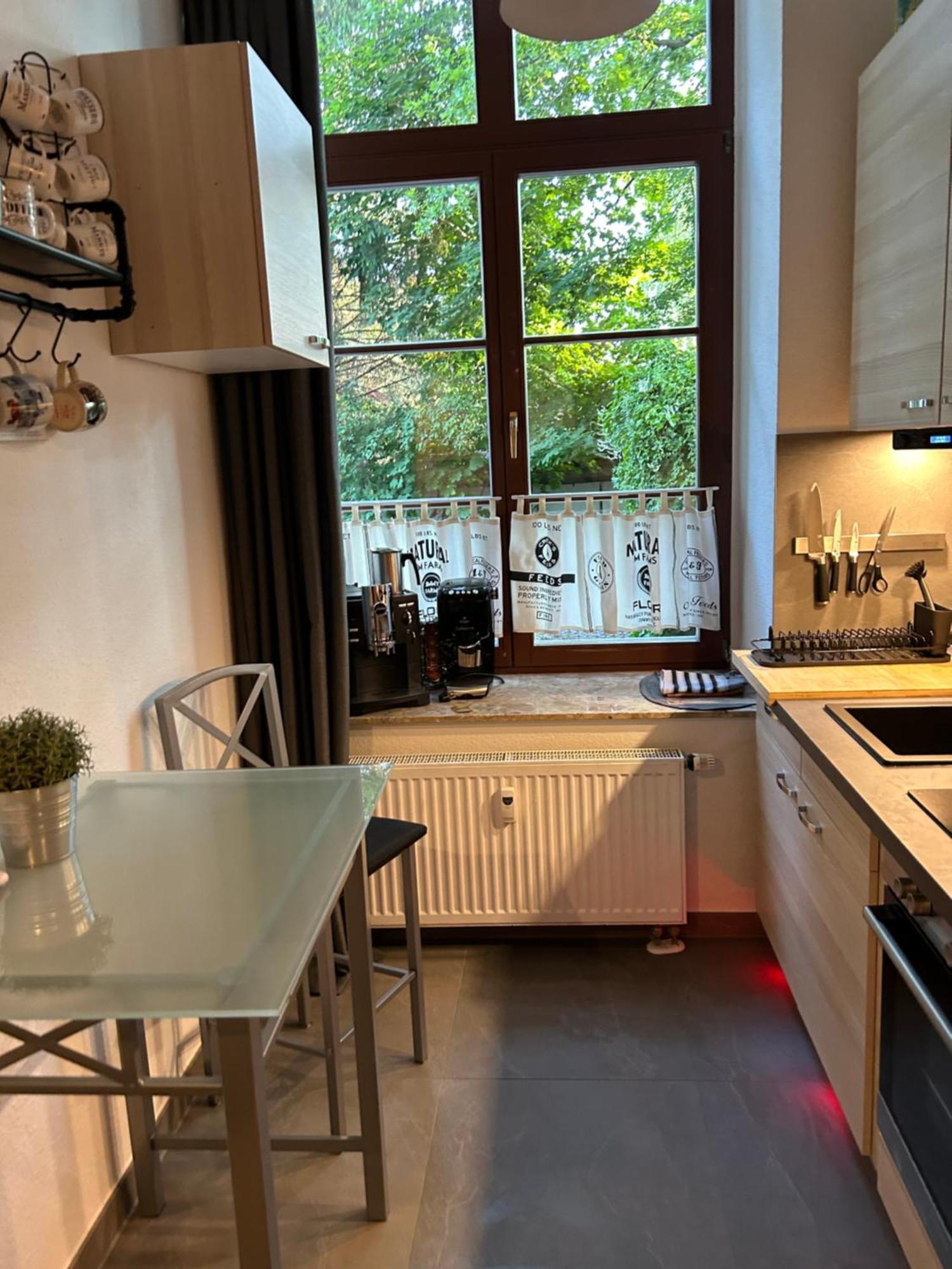 Ruhige Wohnung Im Fabrikstil In 开姆尼茨 外观 照片